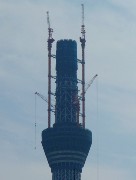 908  view to Tokyo Sky Tree.JPG